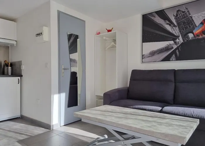 Appartement Avec Mezzanine Et Terrasse *